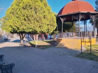Servicios Municipales continúa dando mantenimiento a parques y plazas de Camargo
