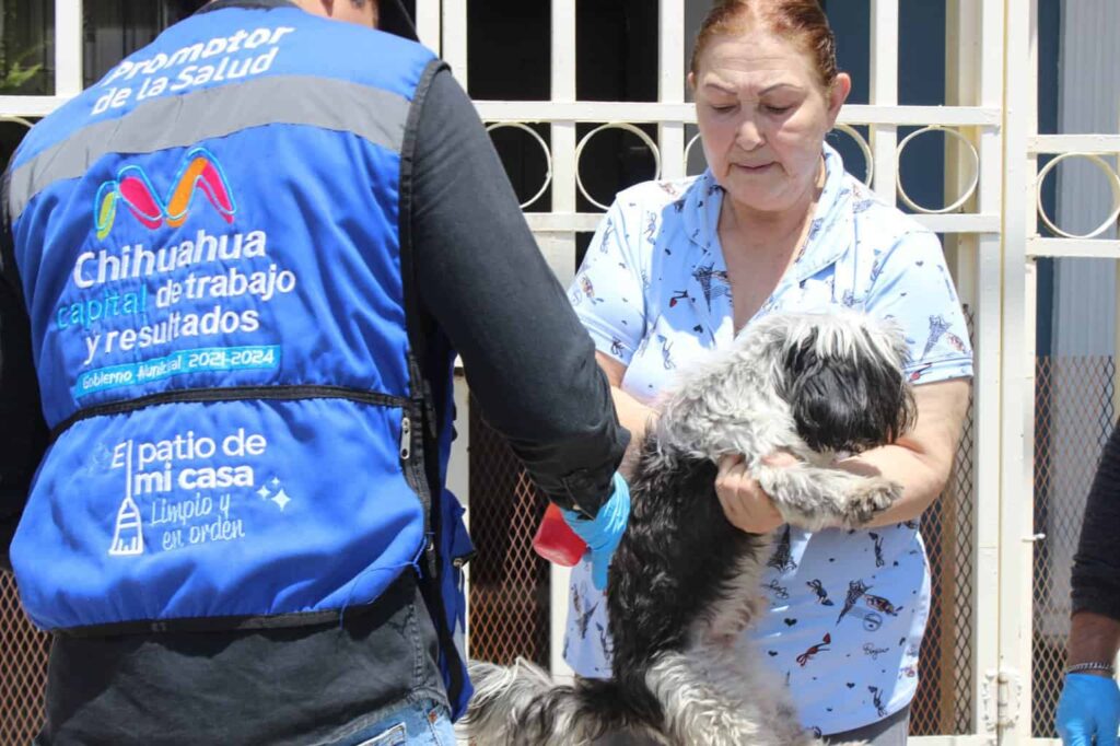Invita IMPAS a conocer las colonias que visitará el programa “Patio de mi casa” en el mes de abril