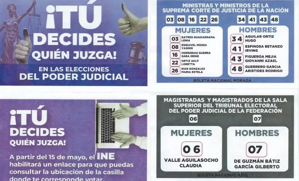 “No voten influidos por “acordeones” repartidos o publicados en redes”: TSJ