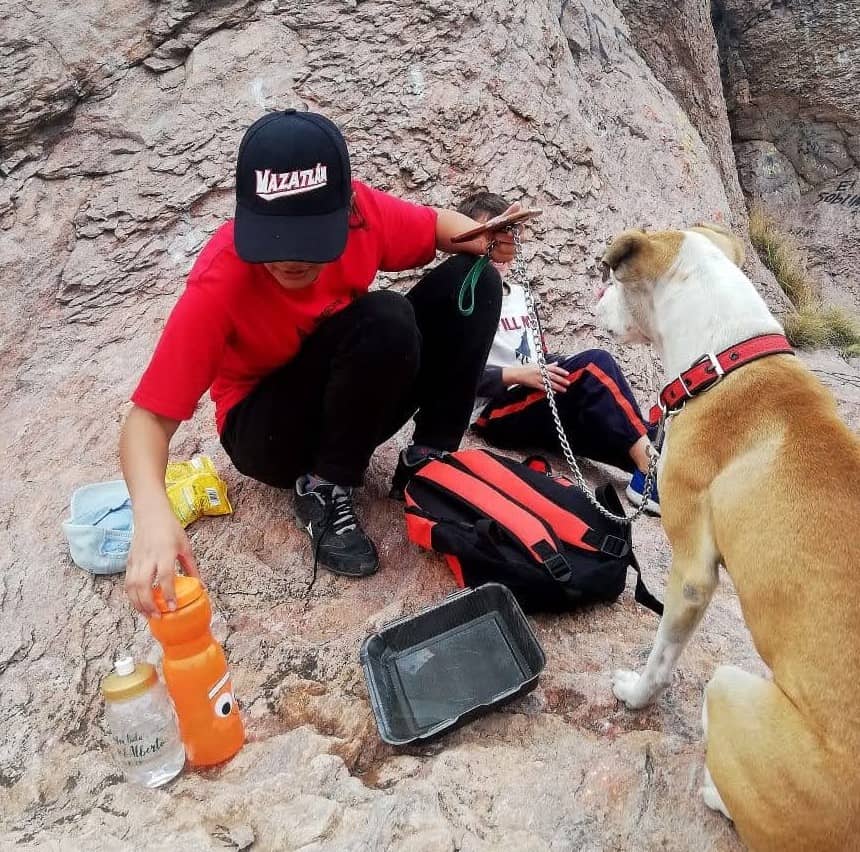 Emite Municipio recomendaciones para proteger a tus mascotas por altas temperaturas