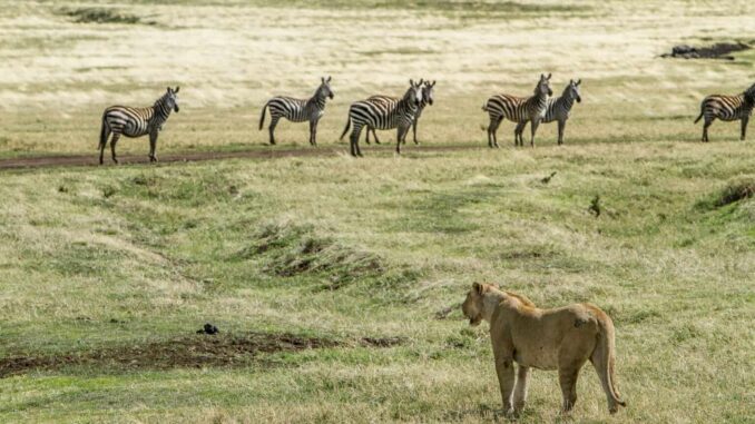 el contacto real con la naturaleza