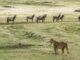 el contacto real con la naturaleza