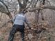 Continúa FGE Occidente labores de rastreo en La Noria de Aldana