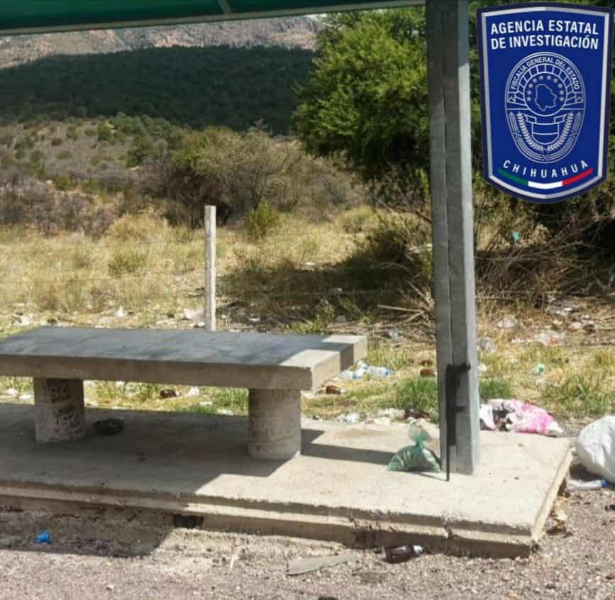 Asegura AEI arma de fuego y droga en carretera a Balleza