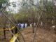 AI urge a las autoridades mexicanas esclarecer hallazgo de fosa con 60 cuerpos en Morelos