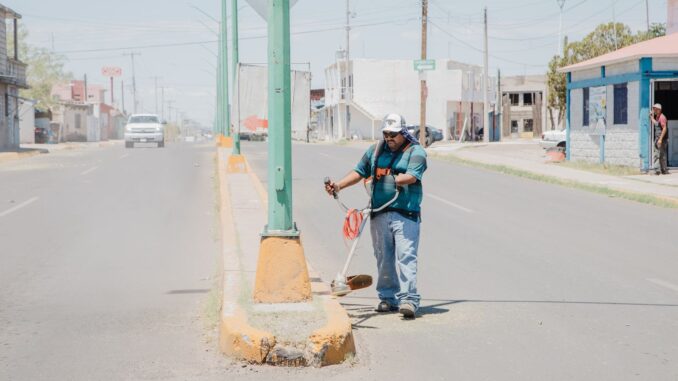 Trabajan cuadrillas de servicios municipales de Camargo en acciones de mejora en los camellones de Luis H. Álvarez y González Ortega