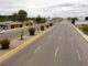 Camargo más verde: Planta municipio 45 palmeras en los camellones de la González Ortega