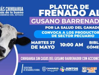 Gobierno del Estado y Municipio invita a productores de Camargo y la región a la plática sobre el frenado al gusano barrenador