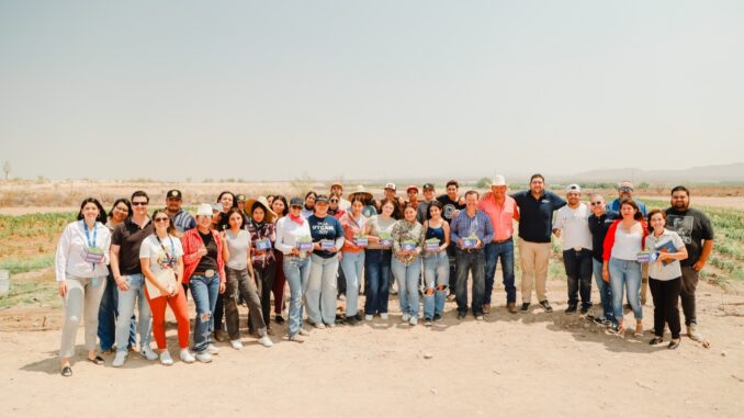 Entrega Desarrollo Rural de Camargo plántula para hortaliza a las y los camarguenses