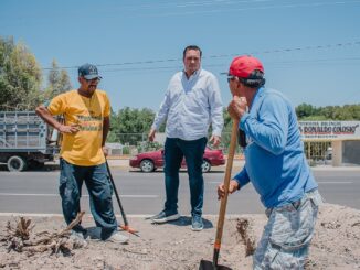 Supervisa Jorge Aldana trabajos de limpieza y reforestación en la avenida González Ortega