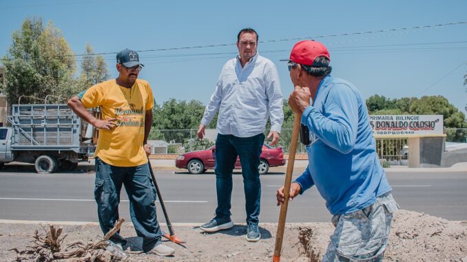 Supervisa Jorge Aldana trabajos de limpieza y reforestación en la avenida González Ortega