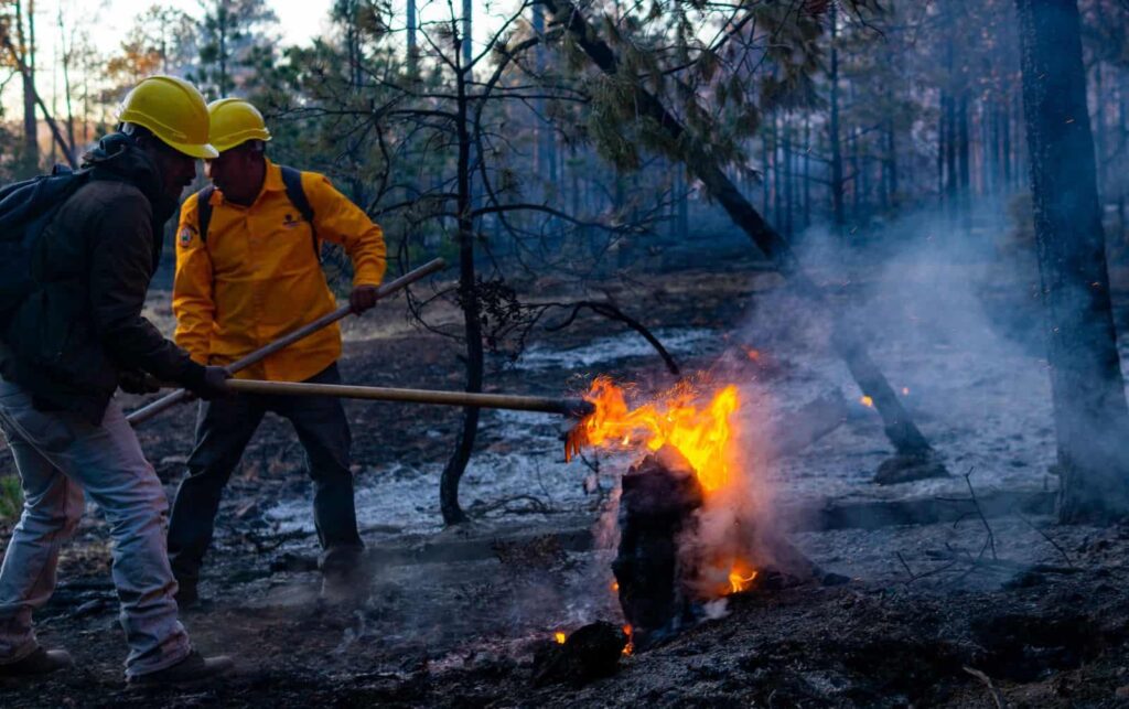 Liquidan combatientes incendio forestal en Guadalupe y Calvo