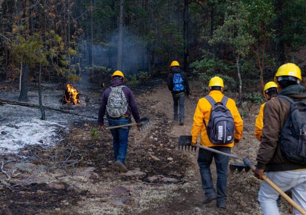 Liquidan brigadistas tres incendios forestales de ayer a hoy