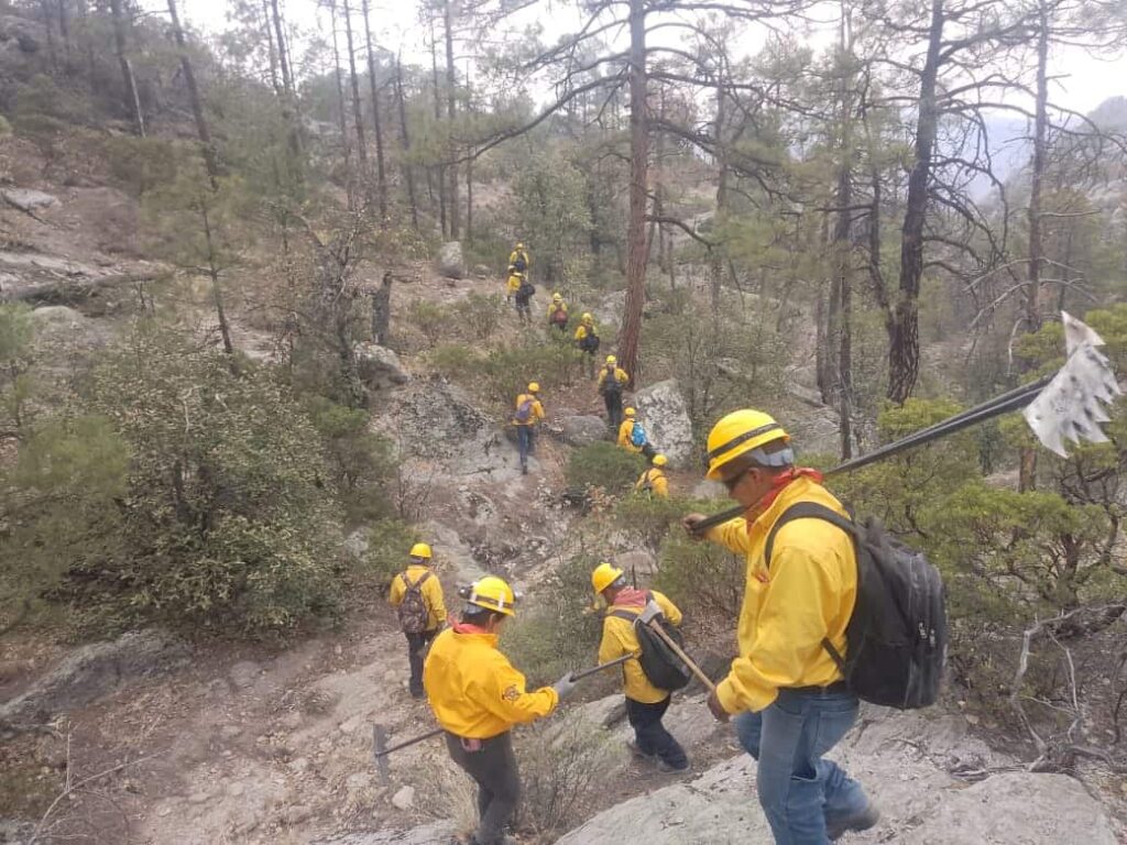 Combaten 165 brigadistas 11 incendios forestales activos en la entidad