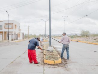 CUADRILLAS MUNICIPALES REALIZAN LABORES DE LIMPIEZA Y MANTENIMIENTO EN EL CAMELLÓN DEL PARQUE DEL SOLDADO