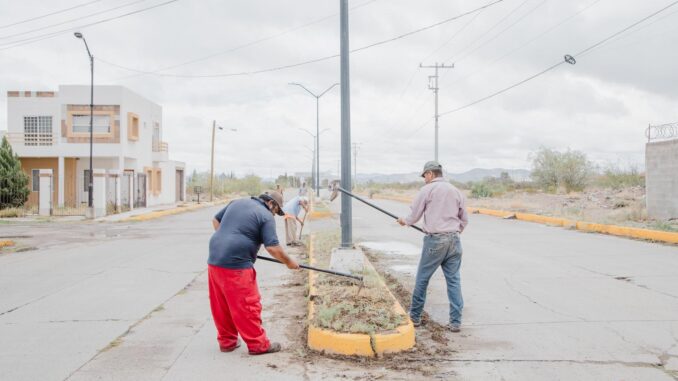 CUADRILLAS MUNICIPALES REALIZAN LABORES DE LIMPIEZA Y MANTENIMIENTO EN EL CAMELLÓN DEL PARQUE DEL SOLDADO